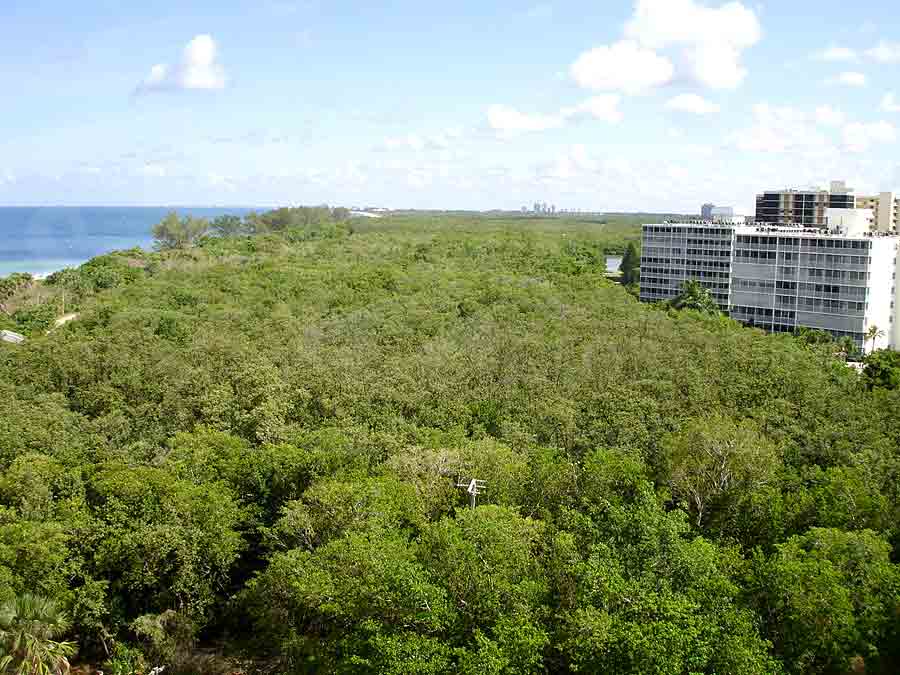 Moraya Bay View of Preserve